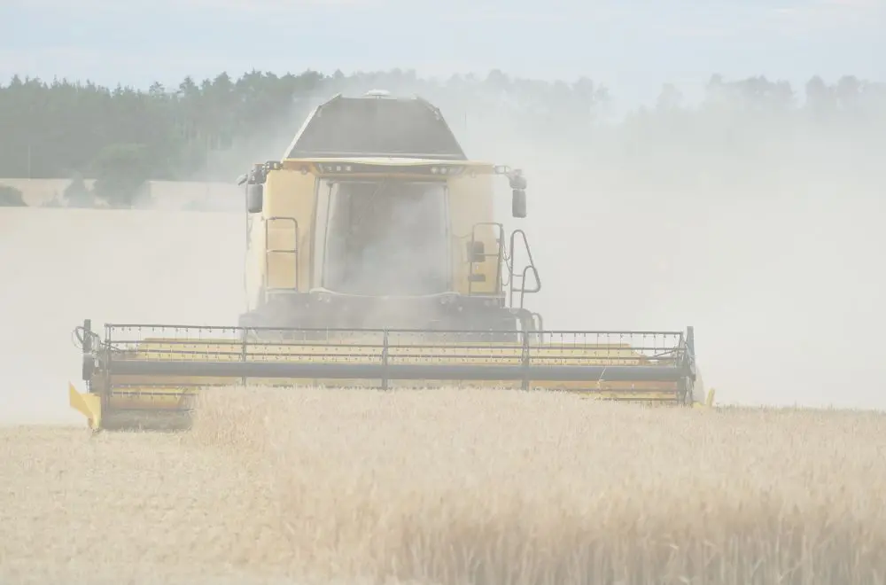 poidsmillegrains testeur humidité choisir